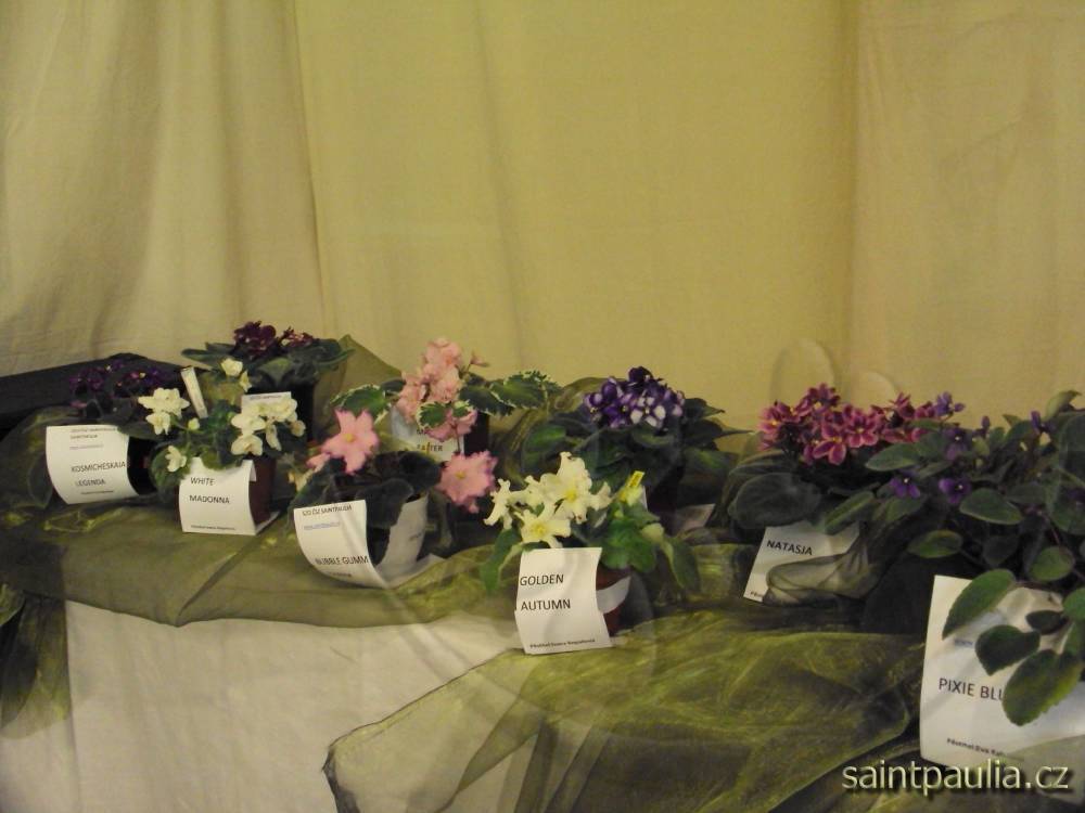 castolovice 2011 4