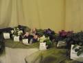 castolovice 2011 4