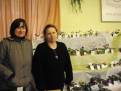 castolovice 2011 6
