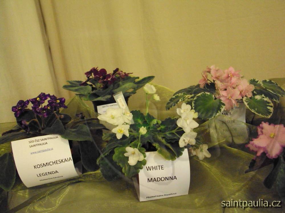 castolovice 2011 9