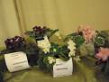 castolovice 2011 9