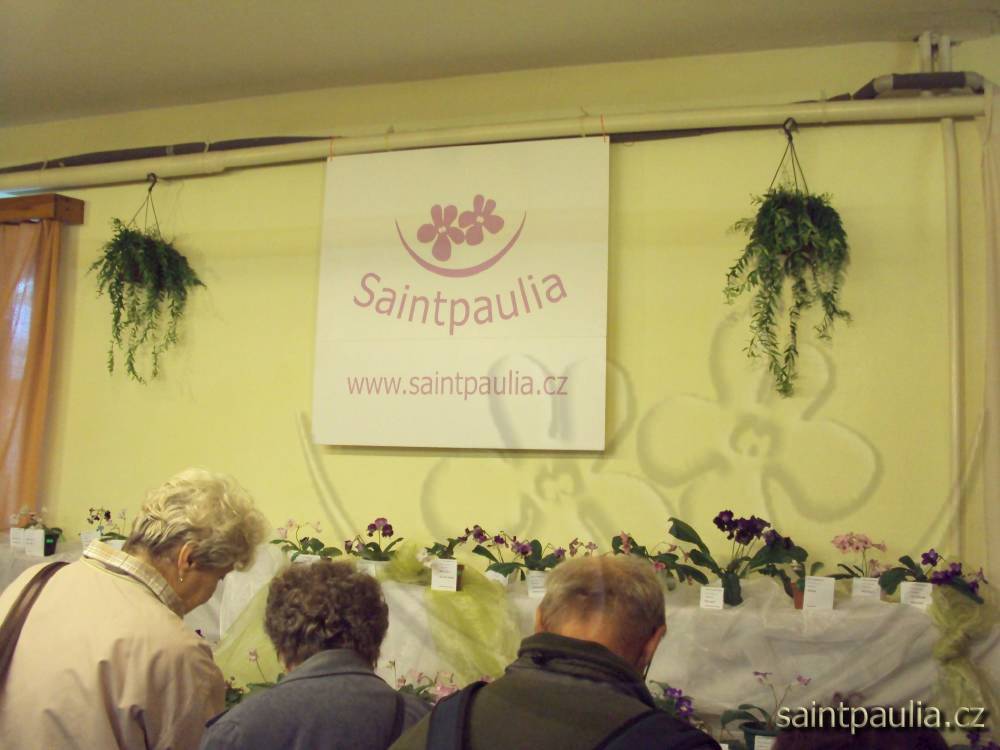 castolovice 2011 28