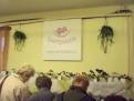 castolovice 2011 28