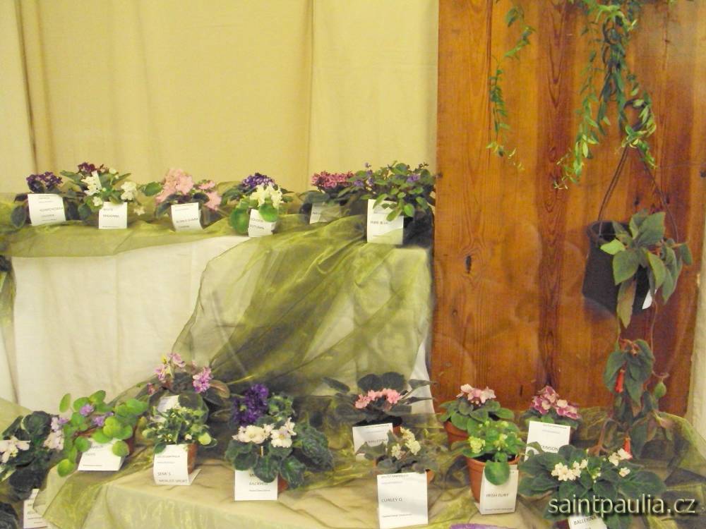 castolovice 2011 30