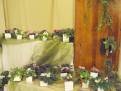 castolovice 2011 30