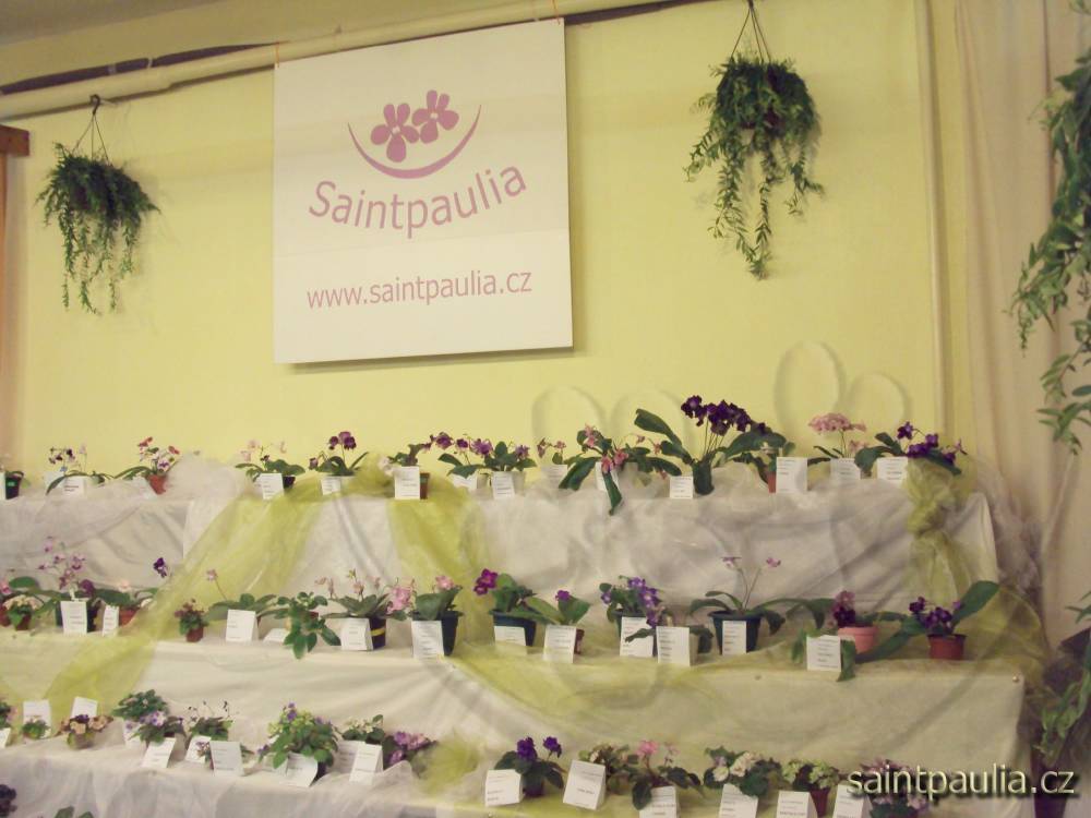 castolovice 2011 32