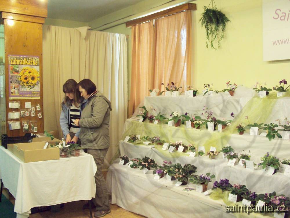 castolovice 2011 33