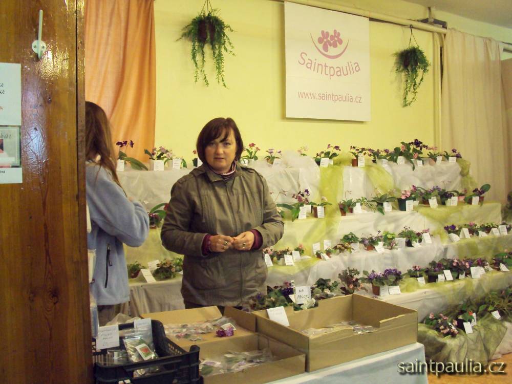 castolovice 2011 34