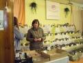 castolovice 2011 34