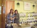 castolovice 2011 37