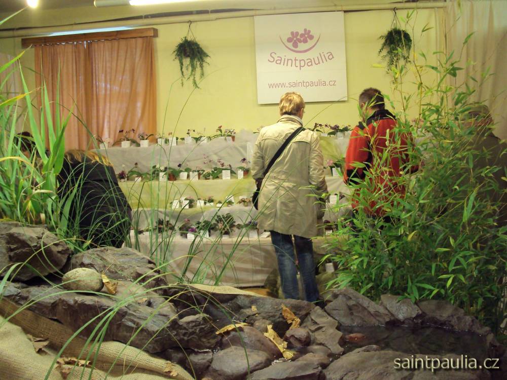 castolovice 2011