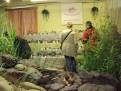castolovice 2011