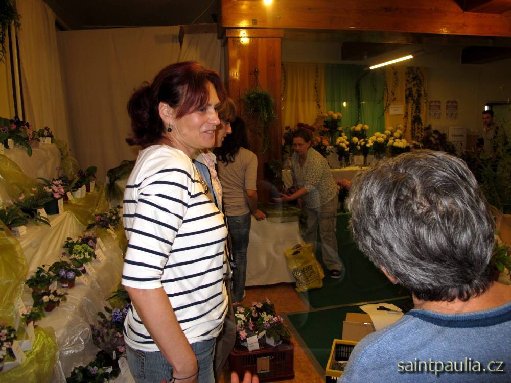 IMG 6285