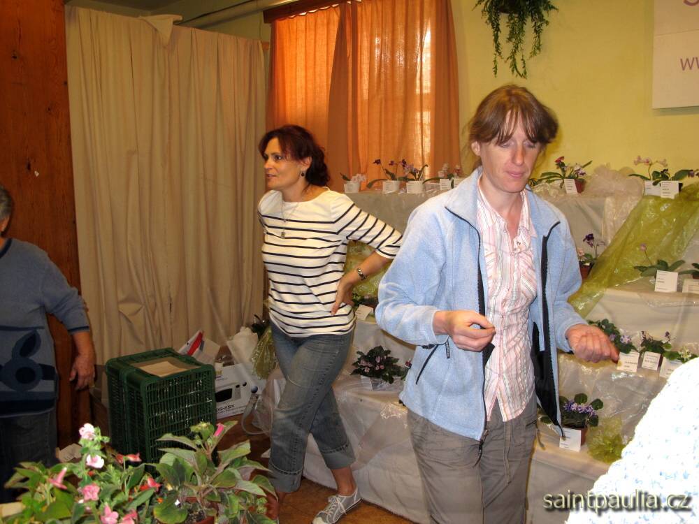 IMG 6289