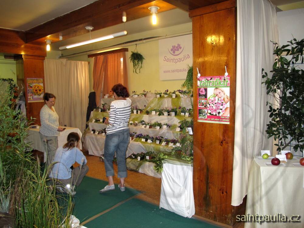 IMG 6301
