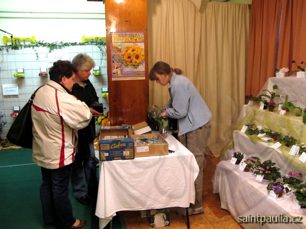 IMG 6384