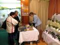 IMG 6384