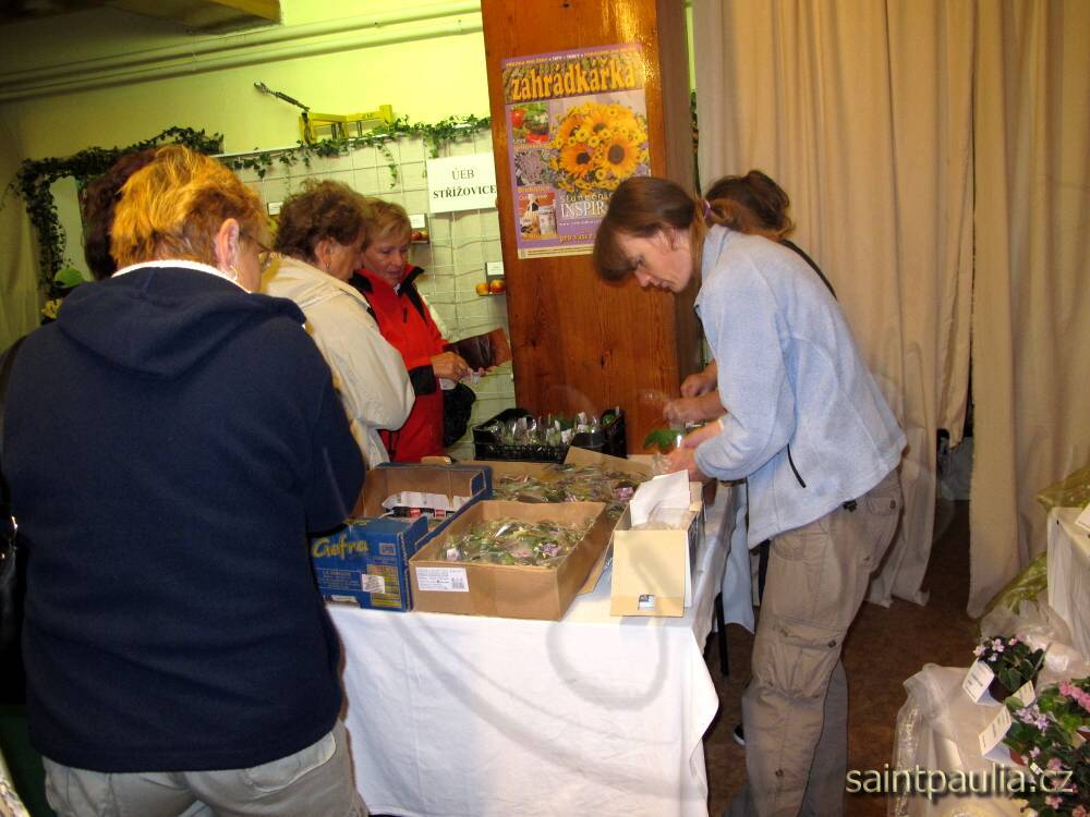 IMG 6388