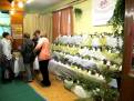 IMG 6485