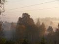 ne 016