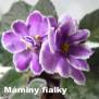 Buckeye Lilac Spring