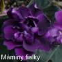 Optical Illusion