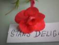 Stan's Delight