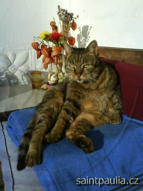 DSC00064
