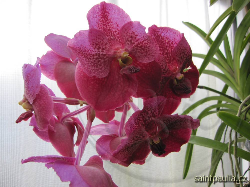 042