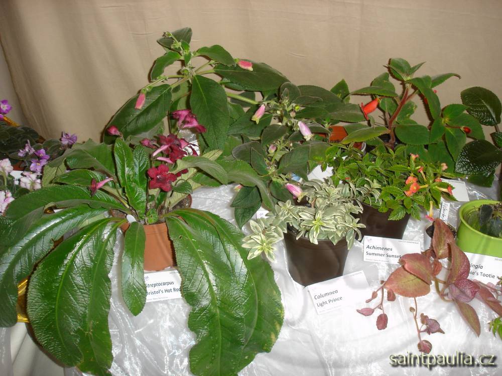 DSC00047