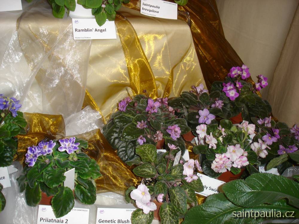 DSC00053