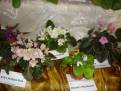 DSC00060