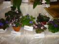 DSC00062