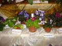 DSC00063