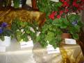 DSC00064