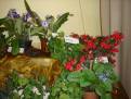 DSC00065