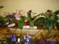 DSC00105