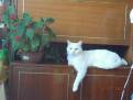 DSCN2196