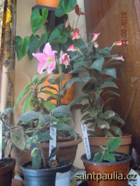DSCN2292