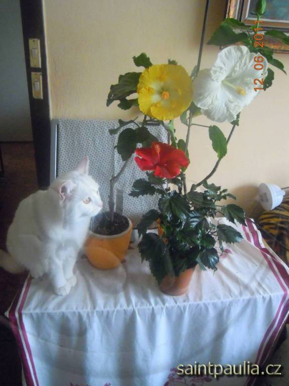 DSCN5928