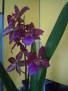 DSCN0092