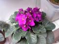PICT0056