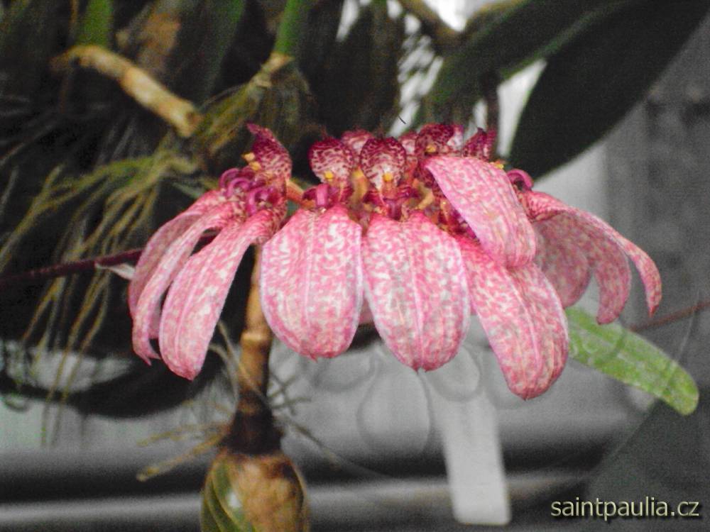 DSC01976
