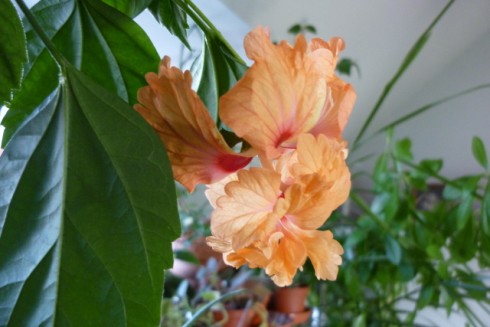 6.11.2011 006.jpg