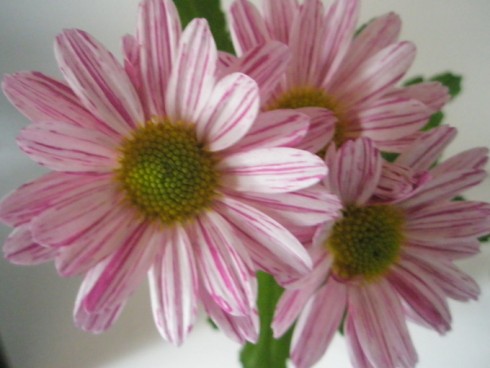 PB140045.JPG