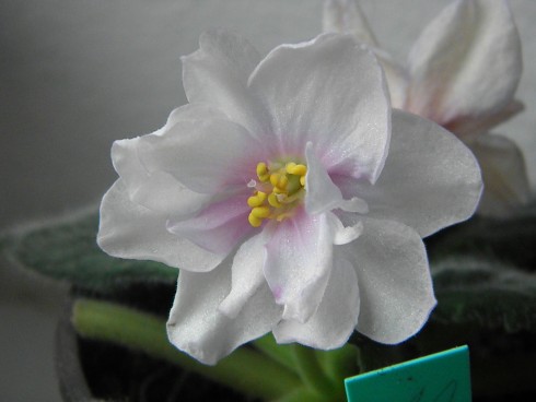 PA250115.JPG