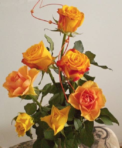 PICT0011.JPG