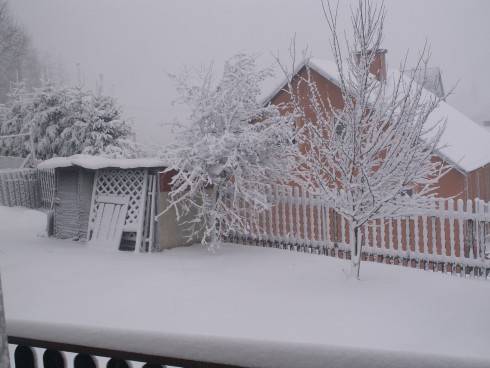 PICT0005.JPG