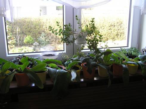 veranda.JPG