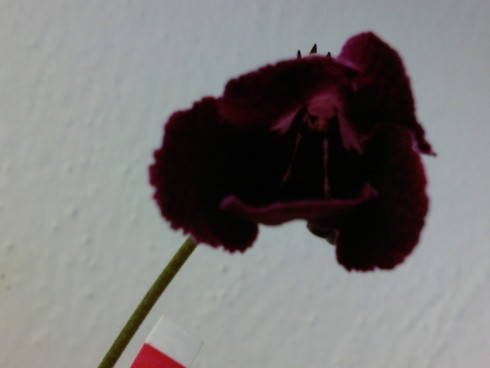 100415_123729.jpg